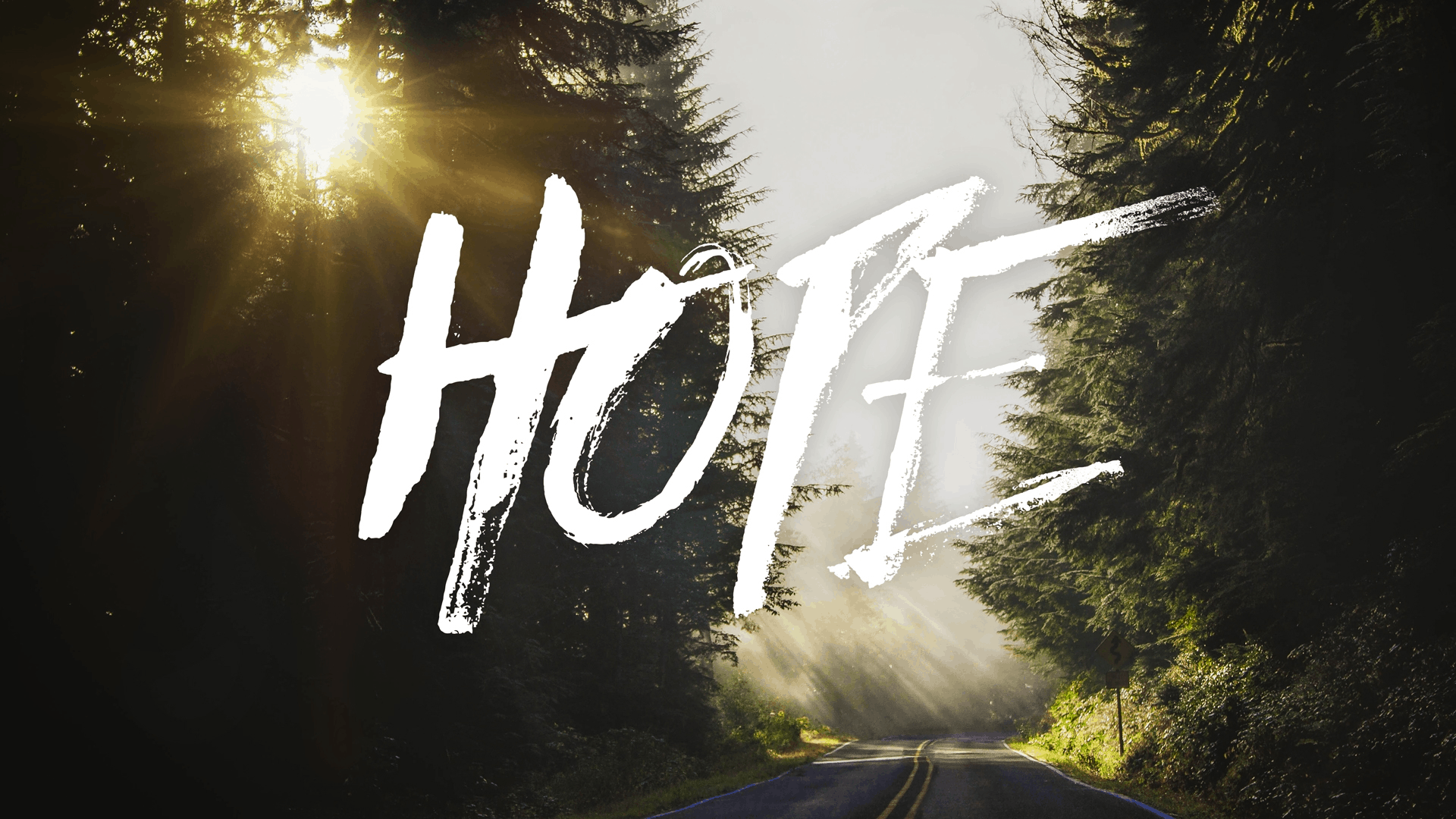 Hope in the New Year