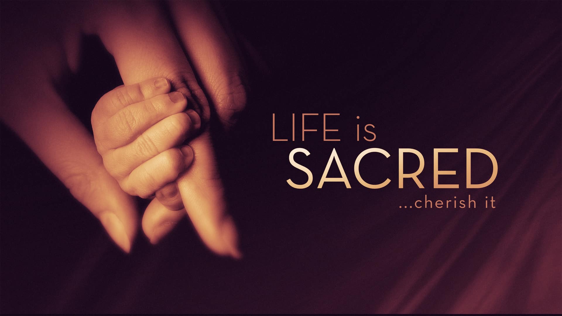 5 Lies and 4 Truths about Abortion and the Specialness of Life