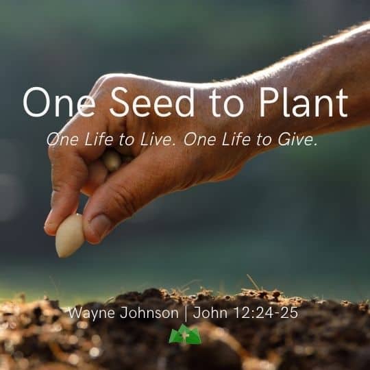 One Seed to Plant | John 12:24-25