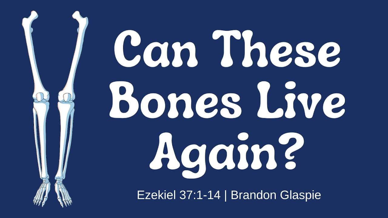 Can These Bones Live Again? | Ezekiel 37:1-14
