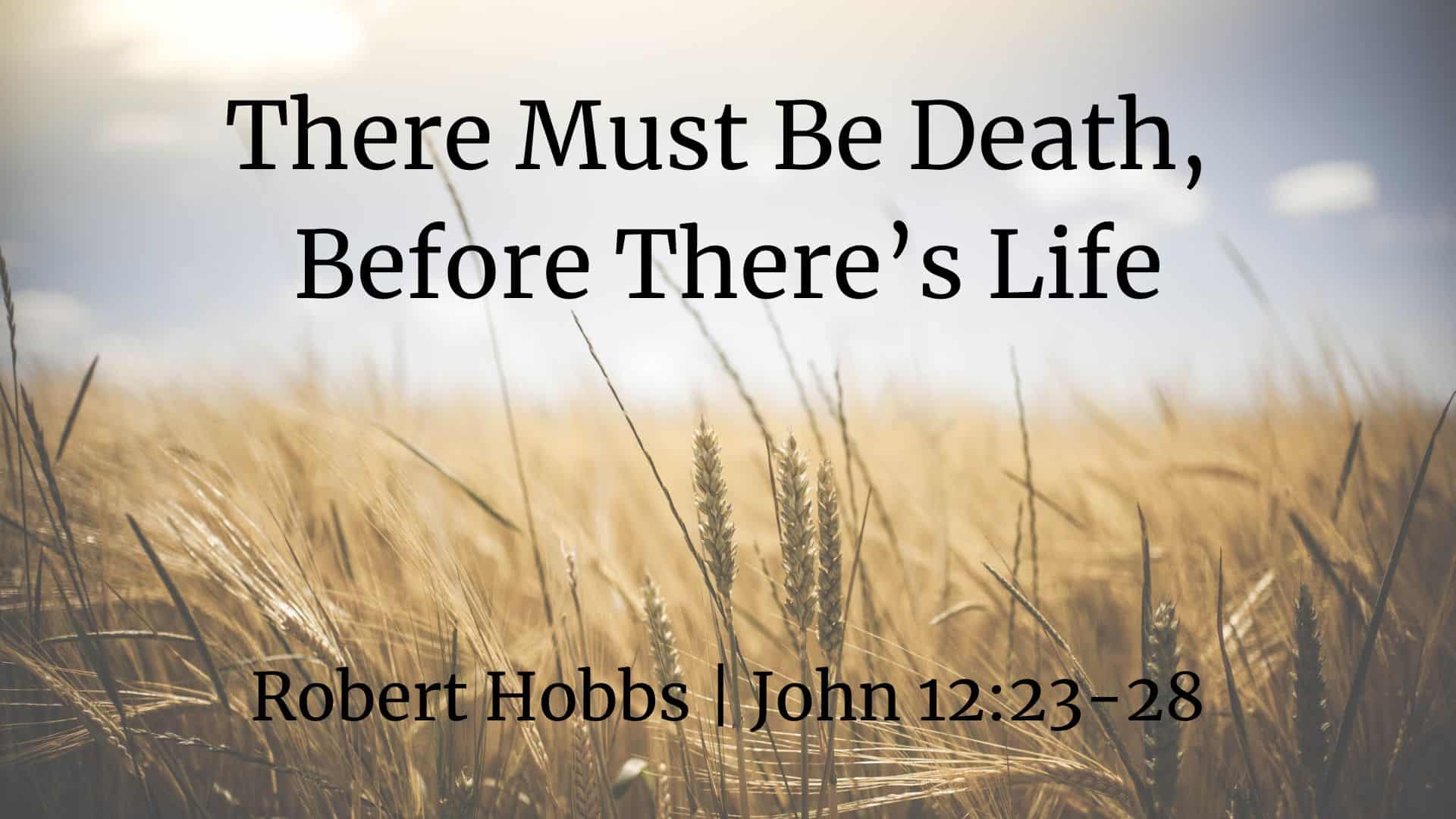 There Must Be Death, Before There’s Life | John 12:23-28